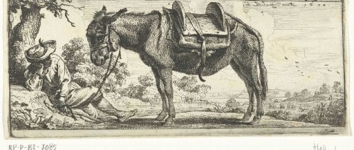 Man with a donkey