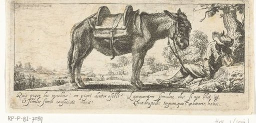 Man with a donkey