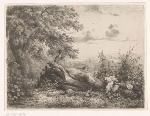 Fallen tree at the edge of the forest