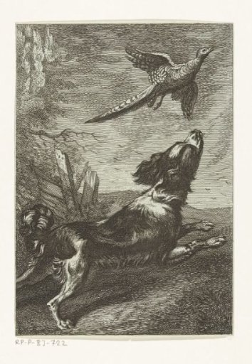 A Dog Chasing a Bird