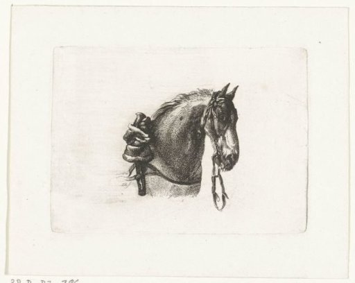 Horse's head to the right