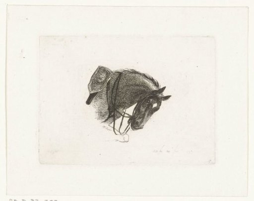 Horse's head in a curved posture, to the right
