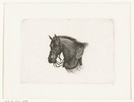 Horse's head in a slightly curved posture, to the left