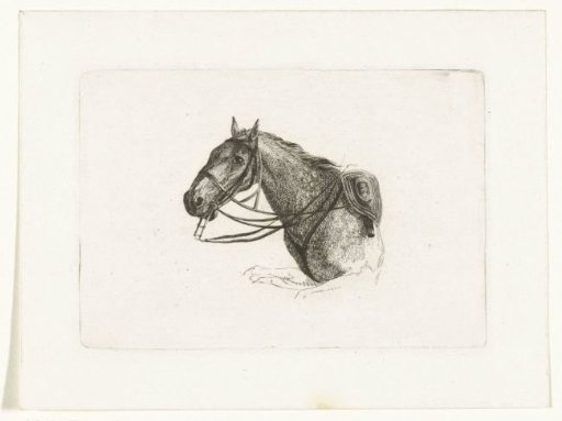Horse's head to the left