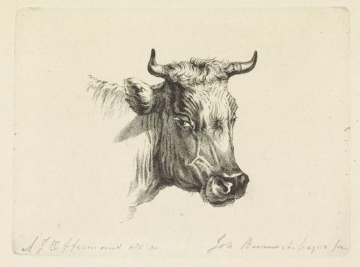 Cow's Head Facing Left