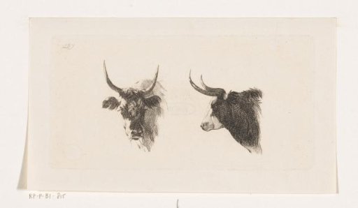 Two cow's heads, one en face, the other in profile