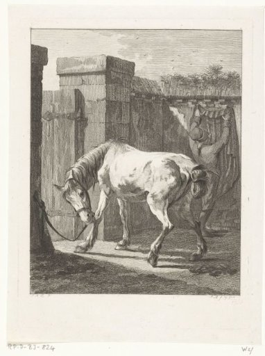 A Horse Tied to a Post