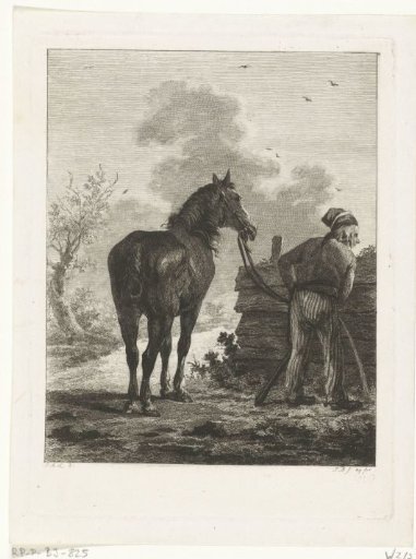 Man Urinating with a Horse