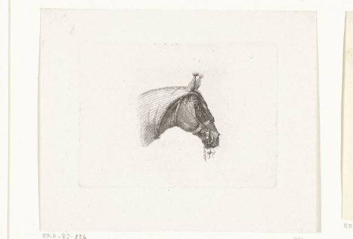 Horse's head with head covering, to the right