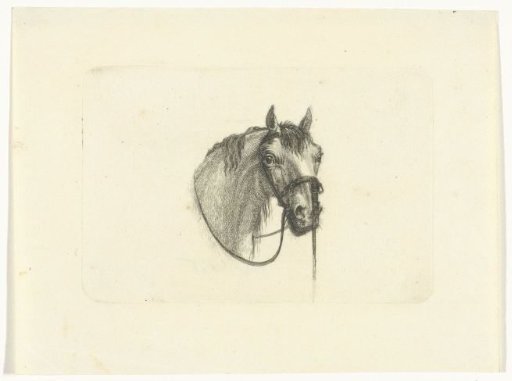Horse's head, slightly to the right