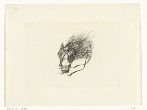 Horse's head with flowing manes