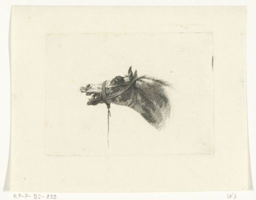 Horse's head with open mouth, to the left