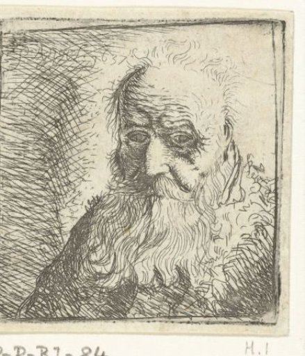 Bust of an Old Man with a Beard