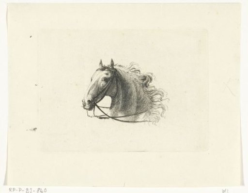 Horse's head, to the left