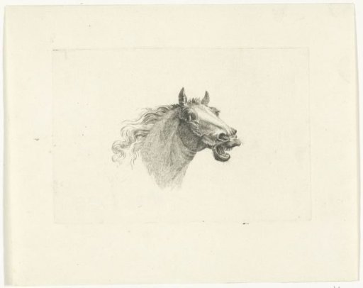 Horse's head with open mouth, to the right