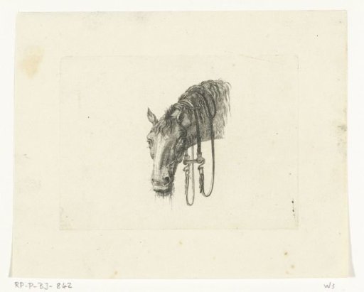 Horse's head with hanging reins, seen from the front