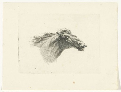 Horse's head, to the right