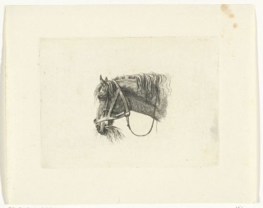 Horse's head with straw in its mouth, to the left