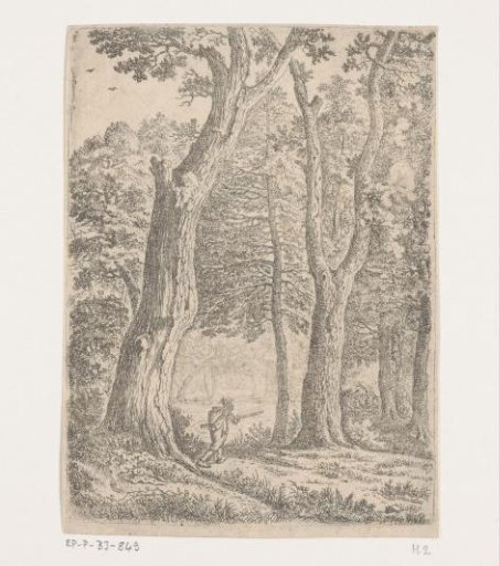 Forest View with a Hunter