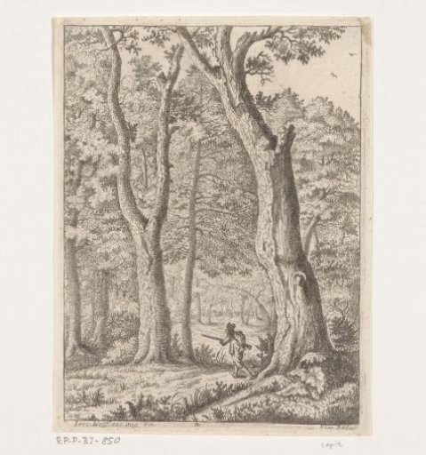 Forest View with a Hunter