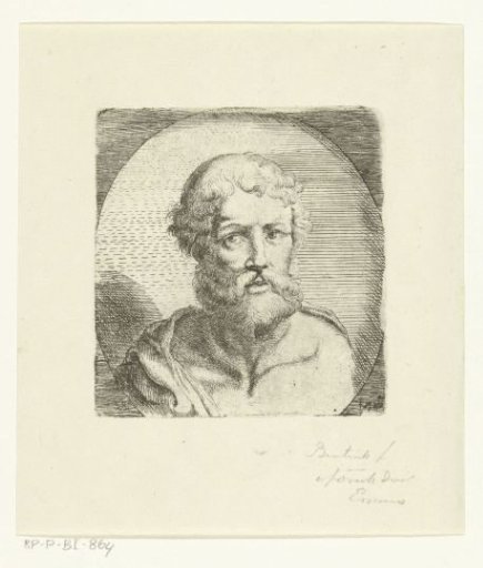 Head of an Unknown Man with Beard