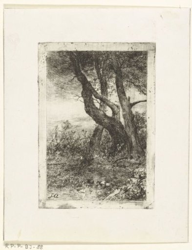 Landscape with trees and pond with ducks