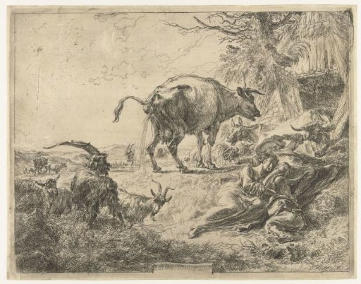 Sleeping shepherd family and resting cattle