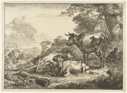 Three resting cows
