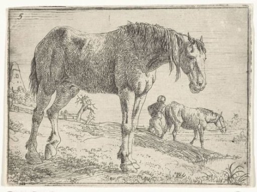 Standing Horse