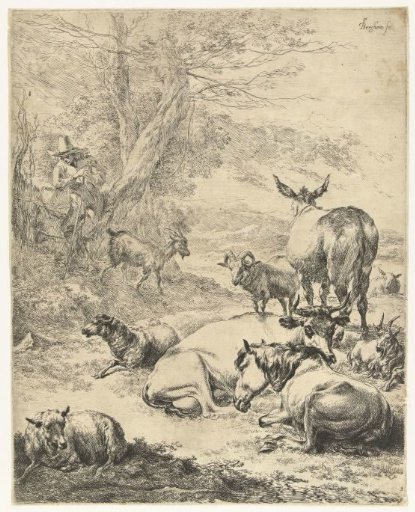 Shepherd with a resting flock