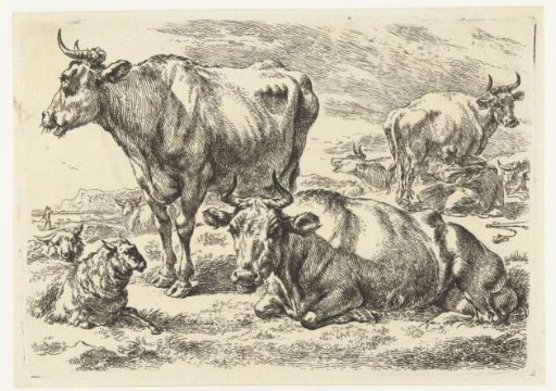 Standing and lying cow in a meadow with sheep and a cow being milked