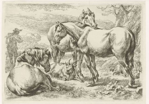 Three horses