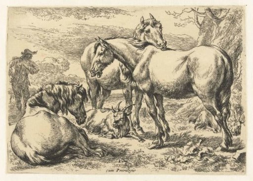 Three horses