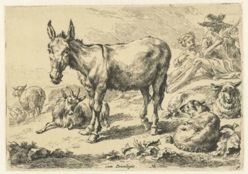 Donkey standing among resting sheep, a goat and shepherds