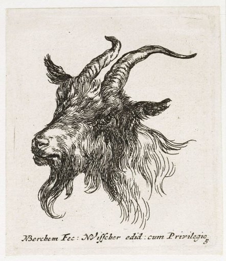 Head of a goat