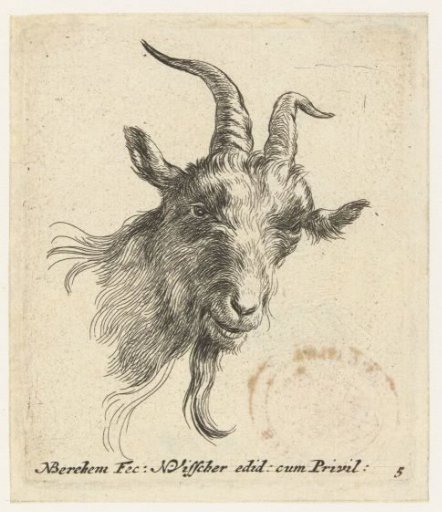 Head of a goat