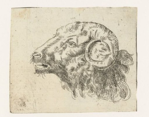 Head of a ram