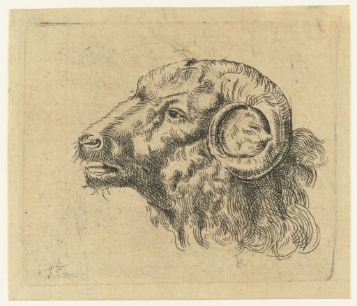 Head of a ram
