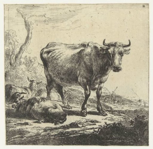 Cow
