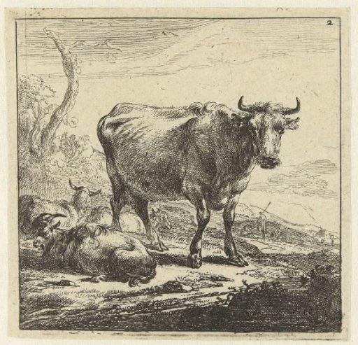Cow