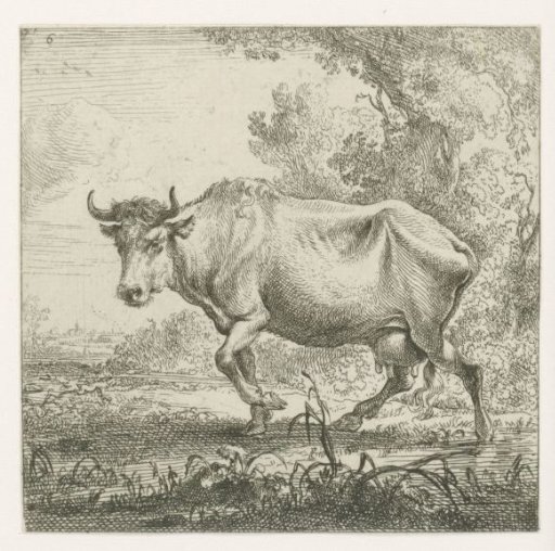 Walking cow