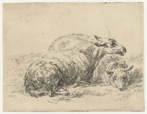 Two lying sheep