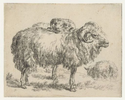 Two rams and a sheep