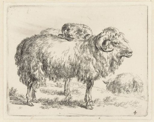 Two rams and a sheep