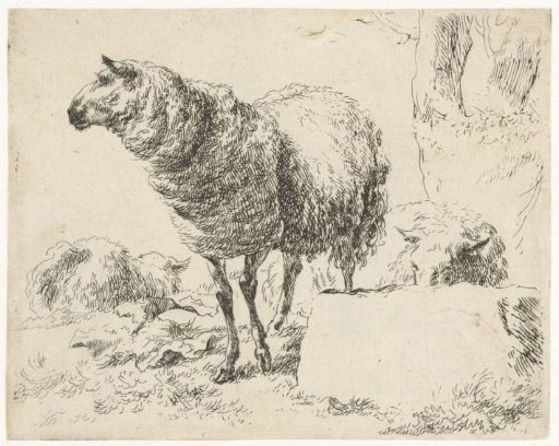 Three sheep