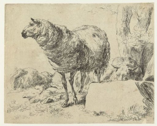 Three sheep