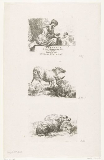 Young woman seated on a stone and sheep