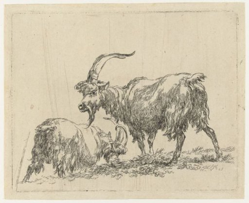 Two goats or bucks
