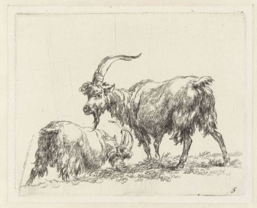 Two goats or bucks