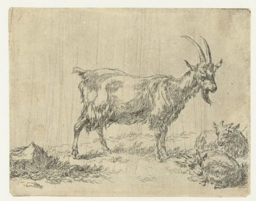 Goat with two kids